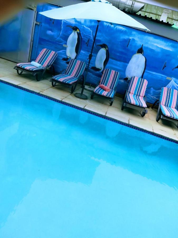 יוהנסבורג Garden Top Hotel מראה חיצוני תמונה